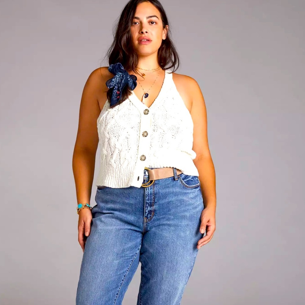 Pilcro The Slim Boryfriend Plus Jeans